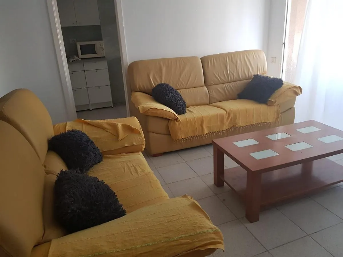 Shared Apartment Little Kaktus contacts